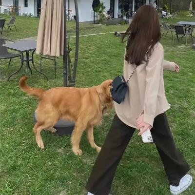 春风十里，不如你